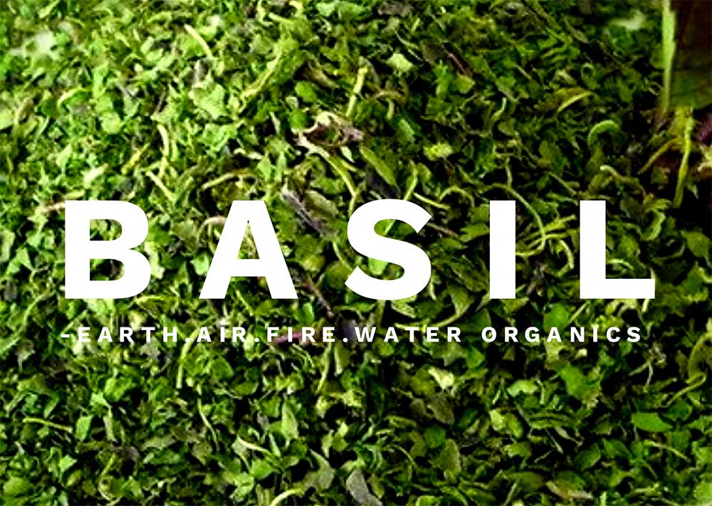 Basil, Set of 3 from Earth, Air, Fire and Water Organics, $30 per set, Australia-wide delivery