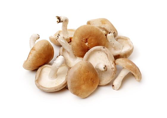 Shiitake Mushroom Grow Kit from Mighty Mushrooms Urban Farm, $49 per kit, local delivery only